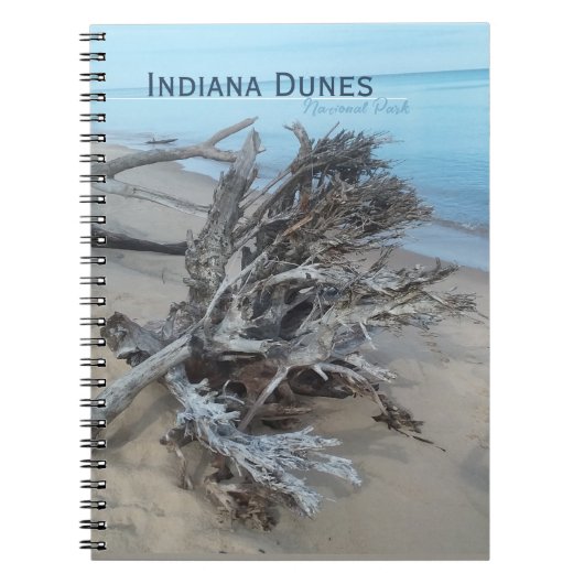 Driftwood Indiana Dunes National Park Magnet Post Notizblock (Vorderseite)