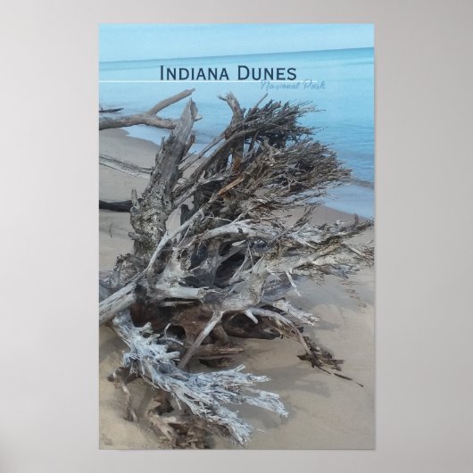 Driftwood Indiana Dunes National Park Magnet Post Poster (Vorne)