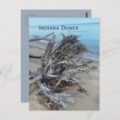 Driftwood Indiana Dunes National Park Magnet Postkarte (Vorne/Hinten)