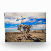 Driftwood-Kunstwerk am Hokitika Beach, Neuseeland Fotoblock (Vorderseite)