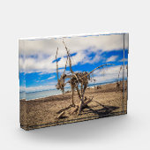 Driftwood-Kunstwerk am Hokitika Beach, Neuseeland Fotoblock (Links)