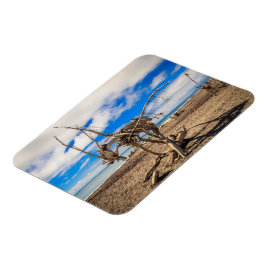 Driftwood-Kunstwerk am Hokitika Beach, Neuseeland Magnet