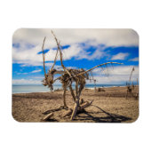 Driftwood-Kunstwerk am Hokitika Beach, Neuseeland Magnet (Horizontal)