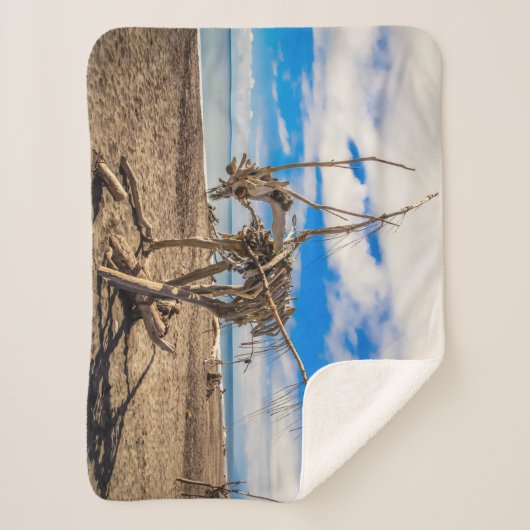 Driftwood-Kunstwerk am Hokitika Beach, Neuseeland Sherpadecke (Vorderseite)