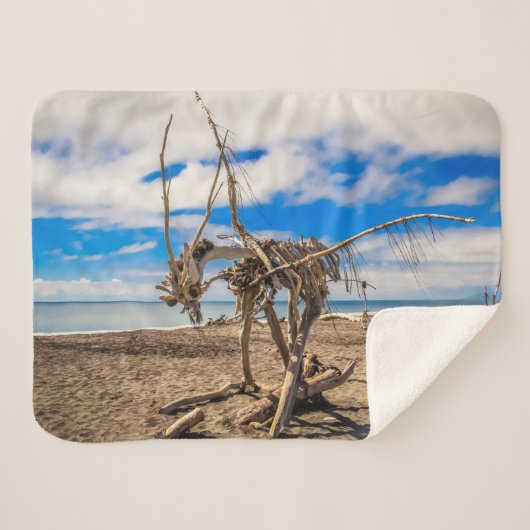 Driftwood-Kunstwerk am Hokitika Beach, Neuseeland Sherpadecke (Vorderseite (Horizontal))