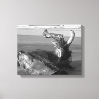 Driftwood Log Costa Rica Beach Photo  Leinwanddruck