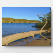 Driftwood Plaque Fotoplatte (Vorderseite)