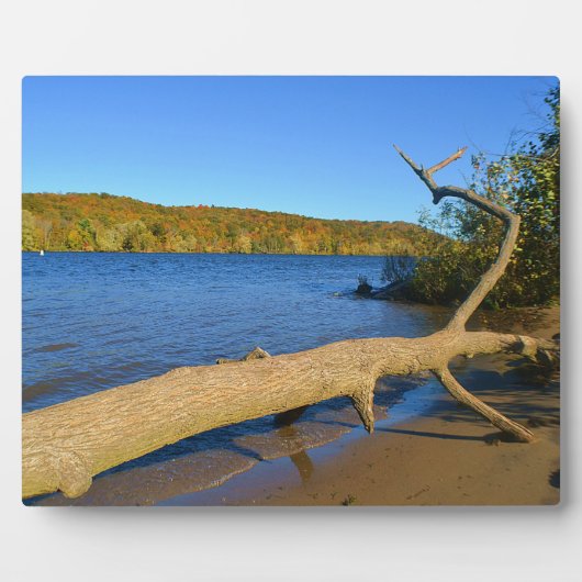 Driftwood Plaque Fotoplatte (Vorderseite)