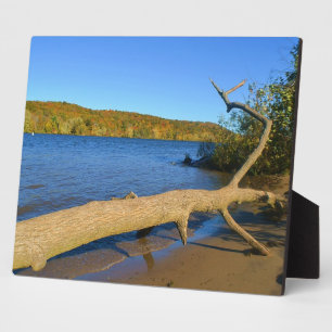 Driftwood Plaque Fotoplatte