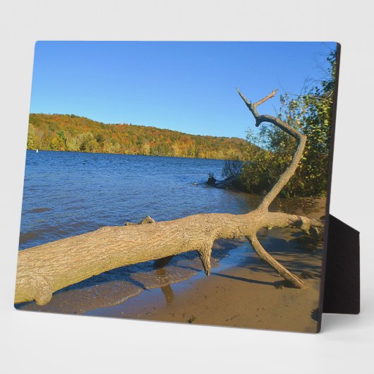 Driftwood Plaque Fotoplatte (Seite)