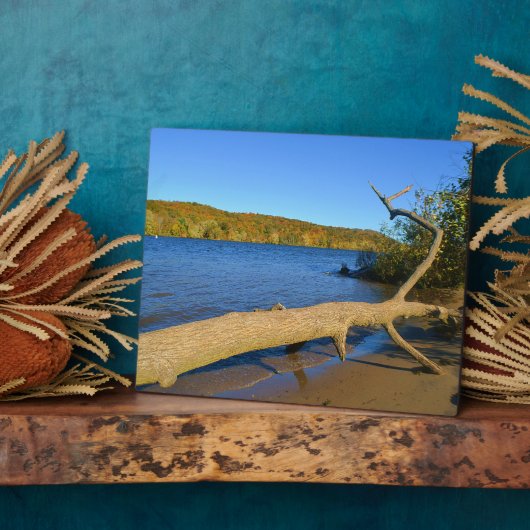 Driftwood Plaque Fotoplatte (Seite)
