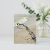 Driftwood-Postkarte Postkarte (Stehend Vorderseite)