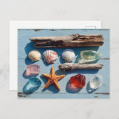 Driftwood Seashells Starfish and Sea Glass Postkarte (Vorne/Hinten)