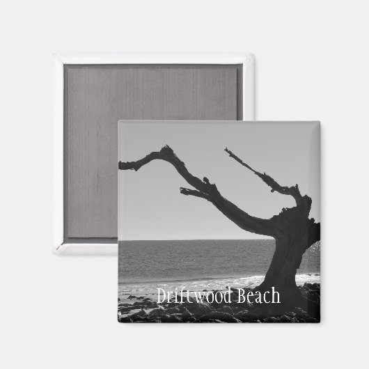 Driftwood-Strandmagnet Magnet (Vorderseite/Rückseite)