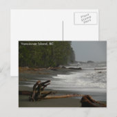 Driftwood Vancouver Island, BC Postkarte (Vorne/Hinten)