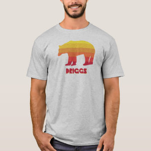 Driggs Idaho Rainbow Bear T-Shirt