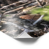 Drillinge Fotodruck (Ecke)