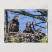 Drillinge Postkarte (Vorderseite)