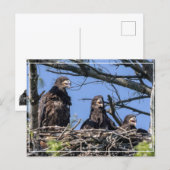 Drillinge Postkarte (Vorne/Hinten)
