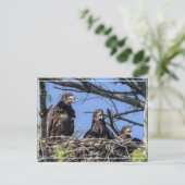 Drillinge Postkarte (Stehend Vorderseite)
