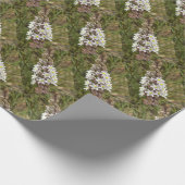 Drimia Maritima oder Island Zwiebelkunst Geschenkpapier (Ecke)