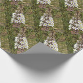 Drimia Maritima oder Island Zwiebelkunst Geschenkpapier (Ecke)