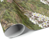 Drimia Maritima oder Island Zwiebelkunst Geschenkpapier (Rolleneckpunkt)