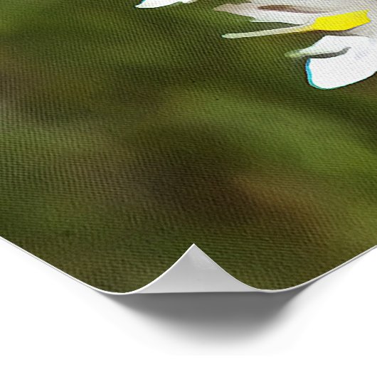 Drimia Maritima oder Island Zwiebelkunst Poster (Ecke)