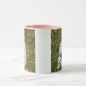 Drimia Maritima oder Island Zwiebelkunst Tasse (Zentrum)
