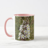 Drimia Maritima oder Island Zwiebelkunst Tasse (Links)