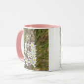Drimia Maritima oder Island Zwiebelkunst Tasse (Vorderseite Links)