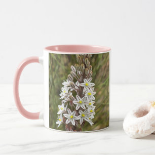 Drimia Maritima oder Island Zwiebelkunst Tasse