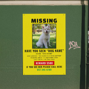 Dringende Vermisste-Hund-Haustier-Warnungsvorlage Poster