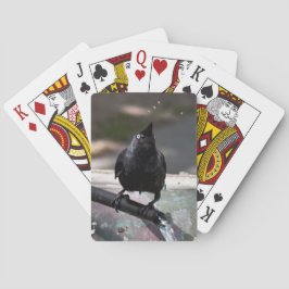 Dringende Vögel spielen Karten Standard Index Spielkarten