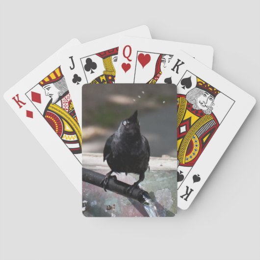 Dringende Vögel spielen Karten Standard Index Spielkarten (Rückseite)