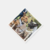 Drinks On Us Simple Photo Cute Fun Dog Pet Wedding Serviette (Ecke)