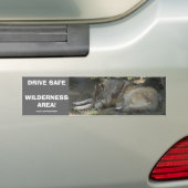 DRIVE SAFE WILDLIFE GRAY WOLF Autoaufkleber (Auf Auto)