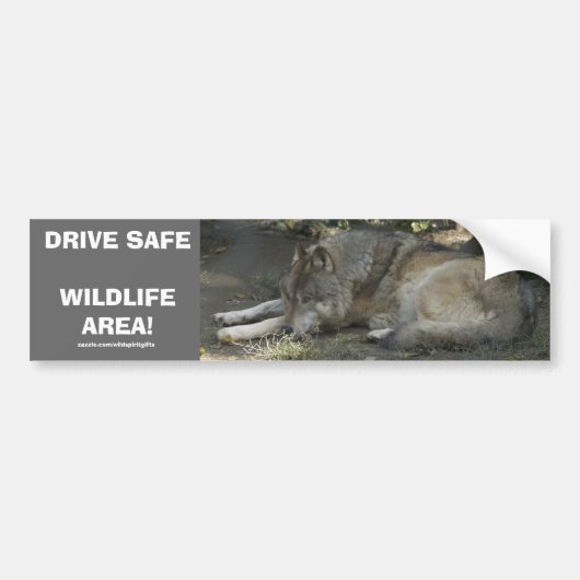 DRIVE SAFE WILDLIFE GRAY WOLF Autoaufkleber (Vorne)