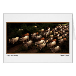 Drive Zuhause, Mexiko