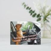Driver’s License Congratulations Postcard Postkarte (Stehend Vorderseite)