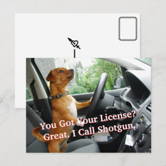 Driver’s License Congratulations Postcard Postkarte