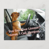 Driver’s License Congratulations Postcard Postkarte (Vorderseite)