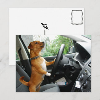 Driver’s License Congratulations Postcard Postkarte