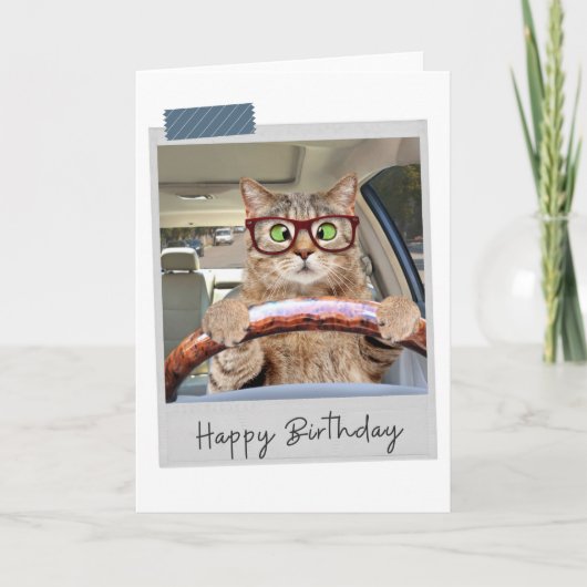 Driving Cat Funny Birthday Card Karte (Vorderseite)