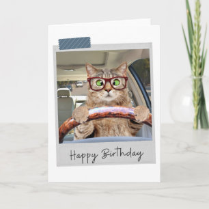 Driving Cat Funny Birthday Card Karte