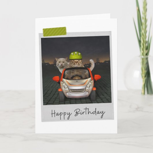 Driving Cats Funny Birthday Card Karte (Vorderseite)