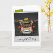 Driving Cats Funny Birthday Card Karte (Gelbe Blume)