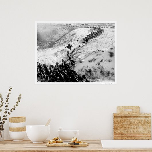Driving cattle in the winter. poster (Küche)