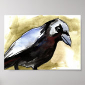 drohende Krähe Poster (Vorne)