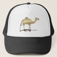 Dromadaire (chameau d'Arabie)